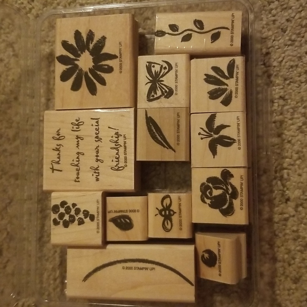 Stampin Up Watercolor Garden stamp set.